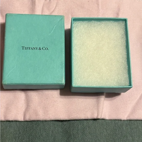 Tiffany & Co. Turquoise Gift Box - Picture 1 of 2